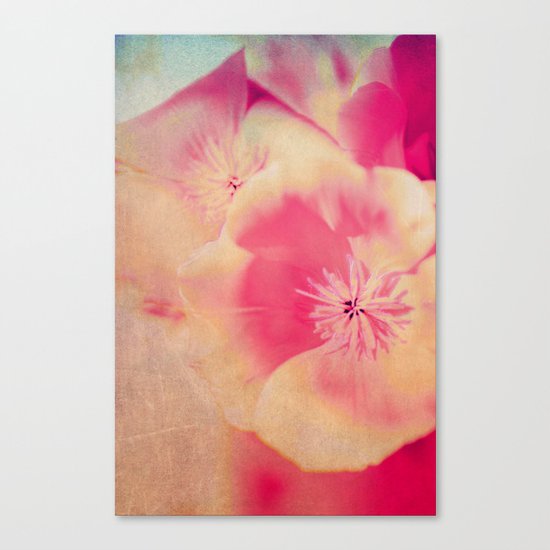 Poppies(delicate) Canvas Print