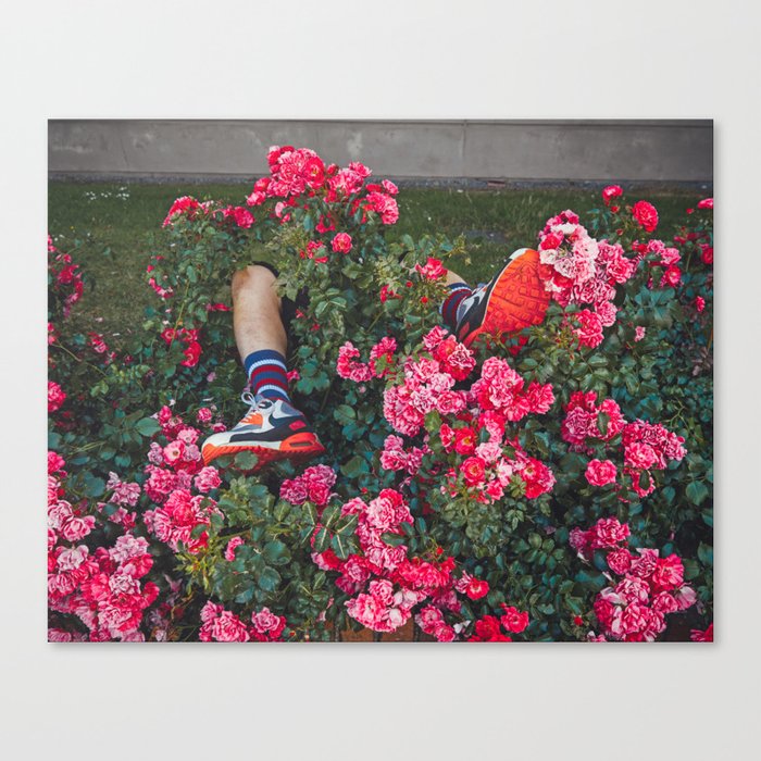 Traveller Canvas Print