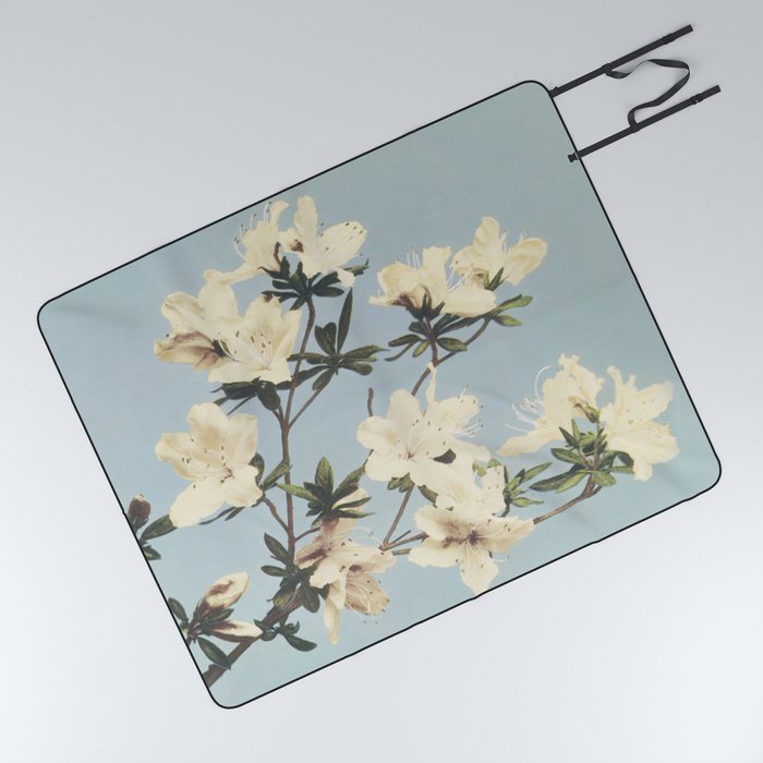 Minimal Art Watercolor Flower Soft Blue Picnic Blanket