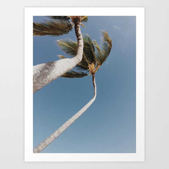 Crooked Palm Trees Art Print