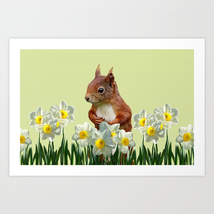 Sqirrel - Marmot with Daffodils Flowers - Eastern Design Art Print