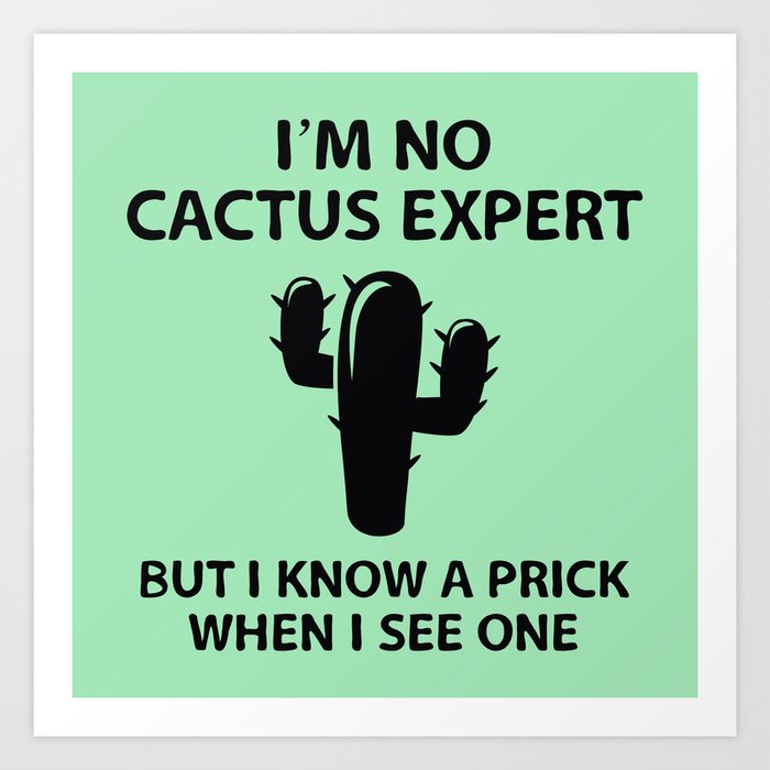 Cactus expert apple macbook pro ssd replacement
