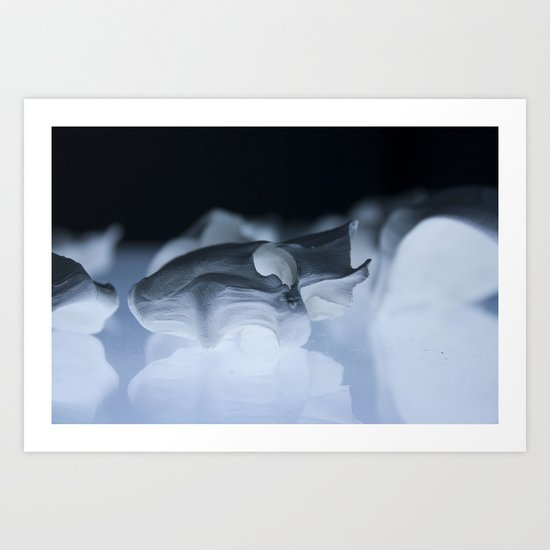 Examine Art Print