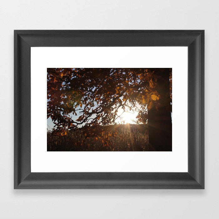 Autumn  Framed Art Print
