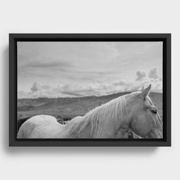 Owens Valley Framed Canvas