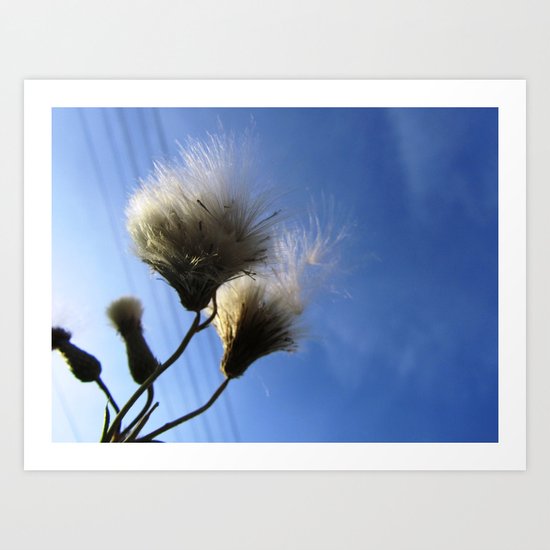 Fly Away Art Print