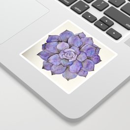 Purple Succulent Sticker
