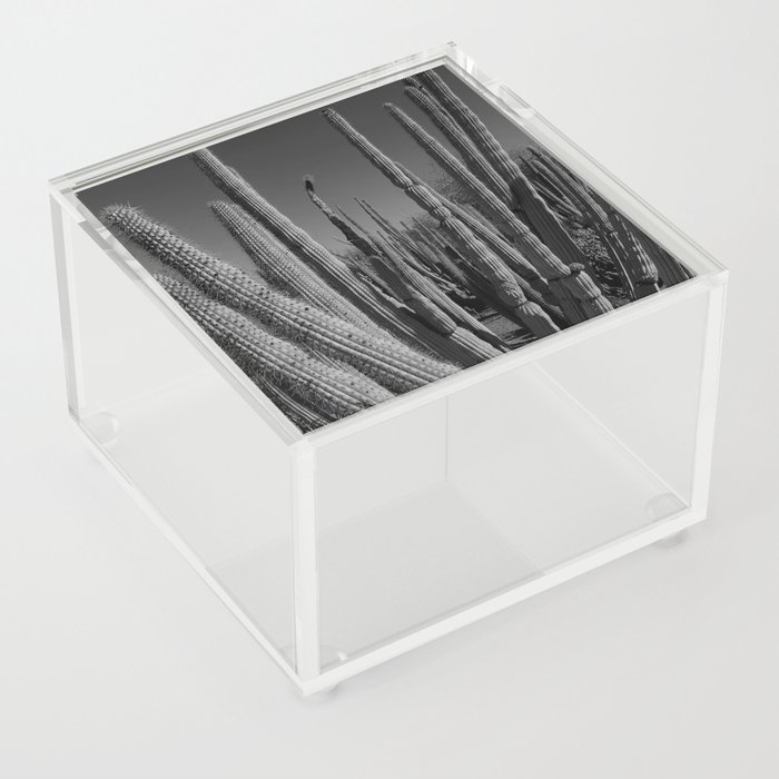 cacti Acrylic Box