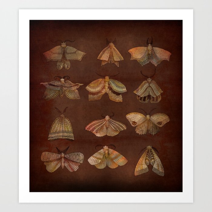 Moth Collector Art Print