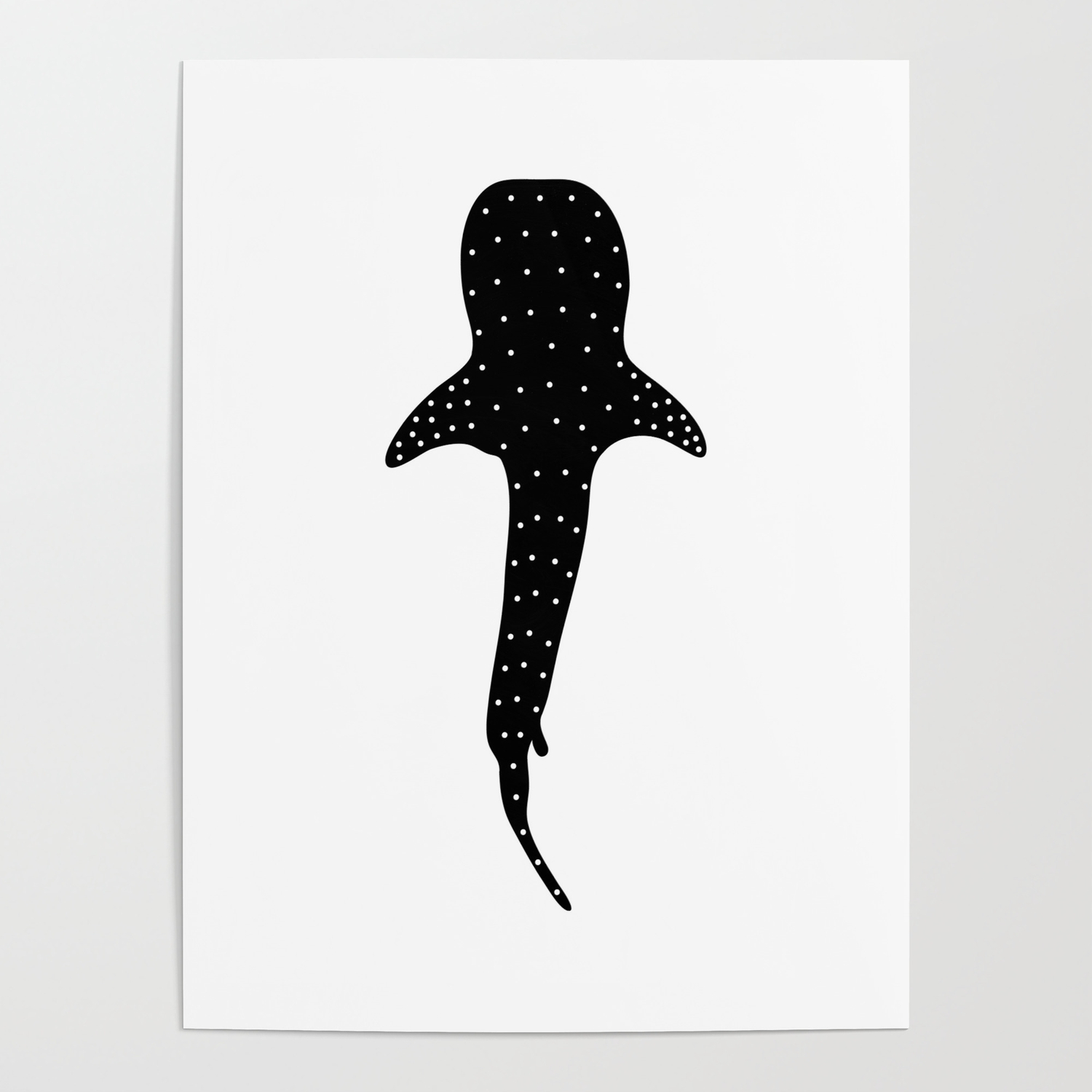 Китовая акула рисунок