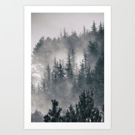 "Mountain light II". Foggy forest. Art Print