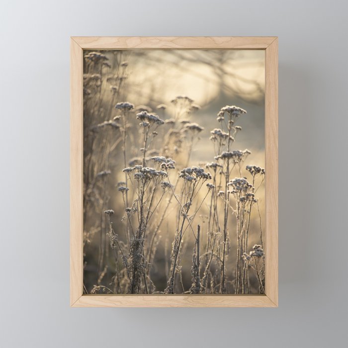 Golden Frosty Morning Flemish Countryside Framed Mini Art Print