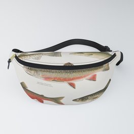 Salmon and Trout Fanny Pack