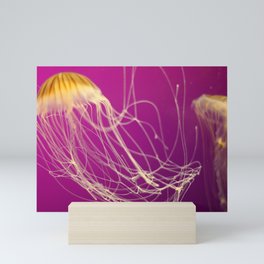 Jelly Mini Art Print