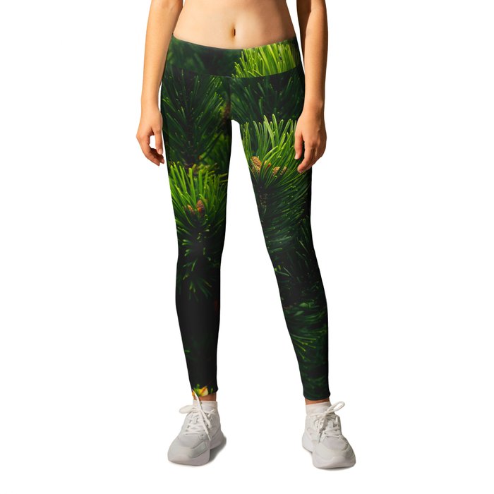 Colorful Pine Tree Leaves Close Up Black Background Leggings
