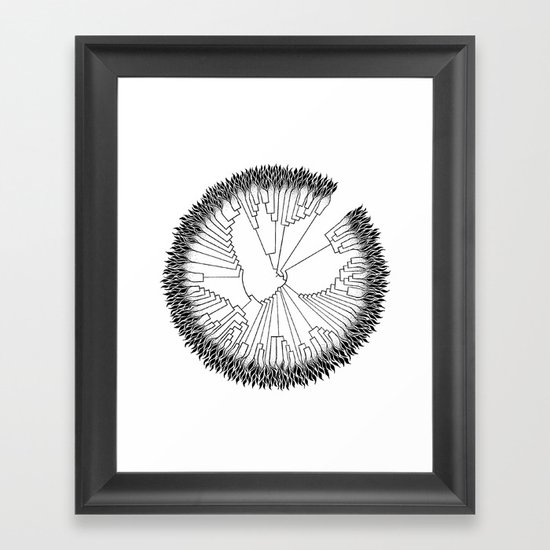 Cladogram Framed Art Print