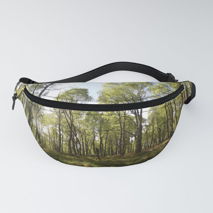 Scottish Highlands Spring Woodland Scene Fanny Pack