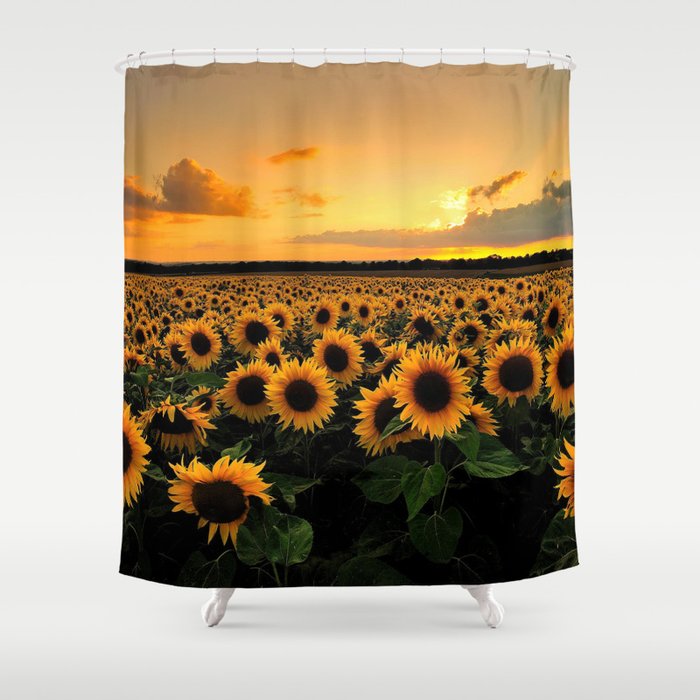 Sunflower field Shower Curtain