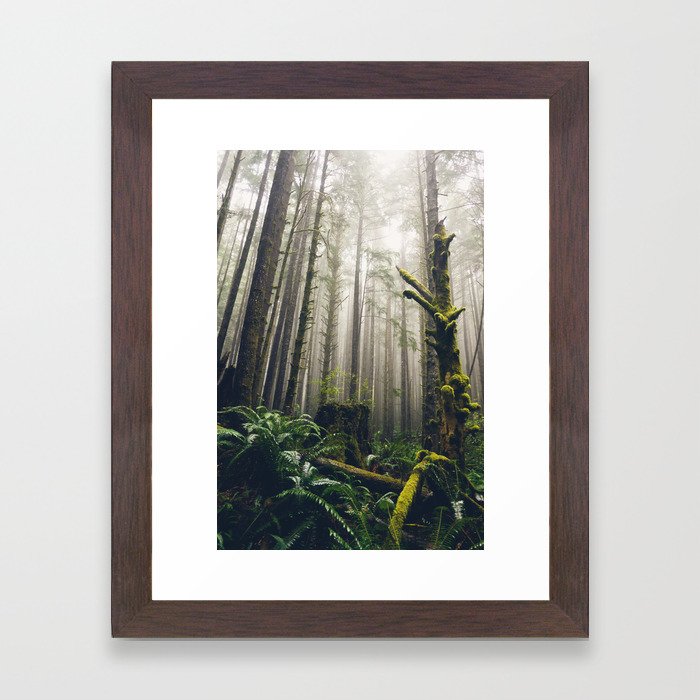 Rainforest Fog Framed Art Print