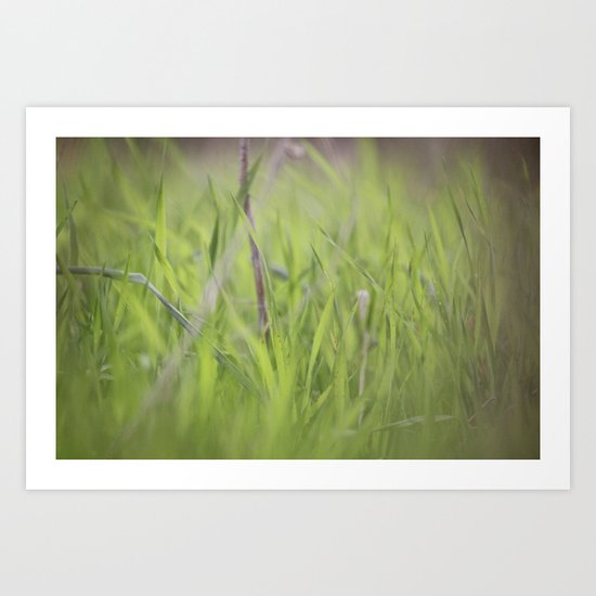 Memories Art Print