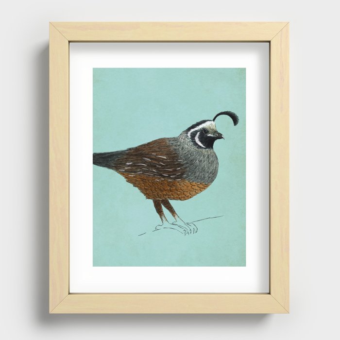 Quail Recessed Framed Print