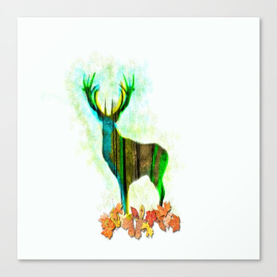 Deerskin Canvas Print
