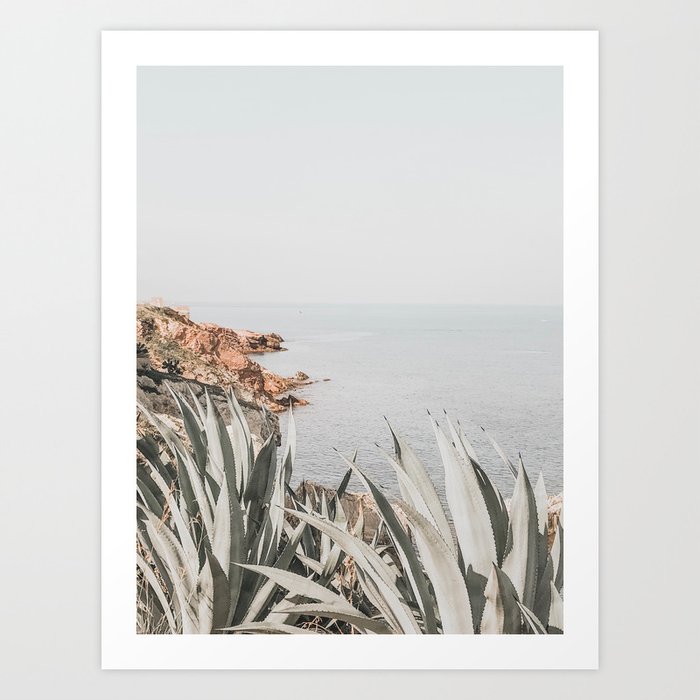 Coastal landscape Art Print