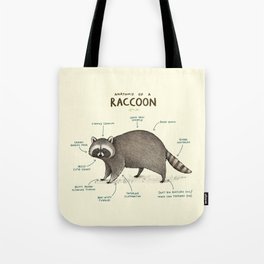 Anatomy of a Raccoon Tote Bag