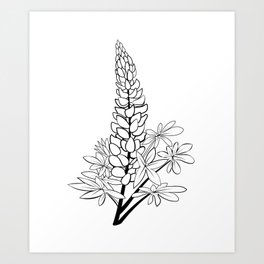 Minimalist Lupine Art Print