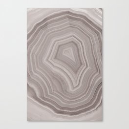 Gray Agate Rock Canvas Print