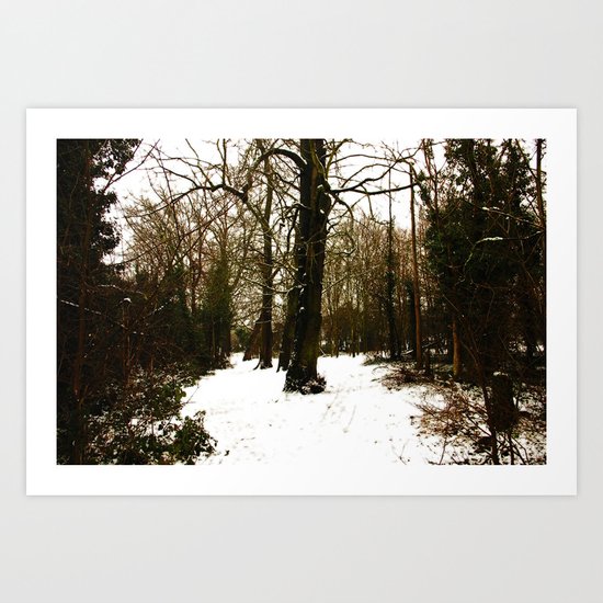 Snowy forest Art Print