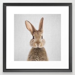 Rabbit - Colorful Framed Art Print