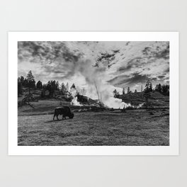 Yellowstone Buffalo Art Print