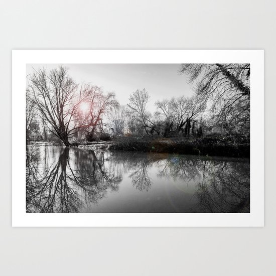 TREE-FLECTION Art Print