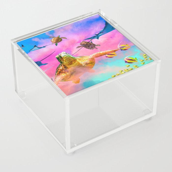 The Turtles at Sky Reef Acrylic Box