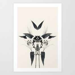 Royal 03 symmetry, collection, black and white, bw, set Art Print