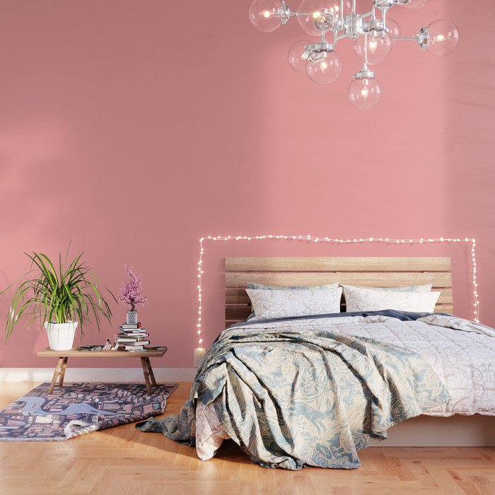 Coral Pink Pastel Solid Color Block Spring Summer Wallpaper