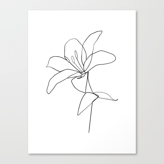 One line Lily flower print Canvas Print