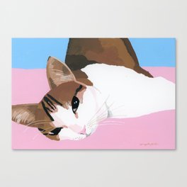 A cat with a sweet look Canvas Print