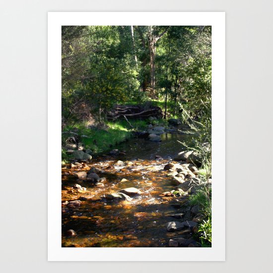 Stoney Creek Art Print