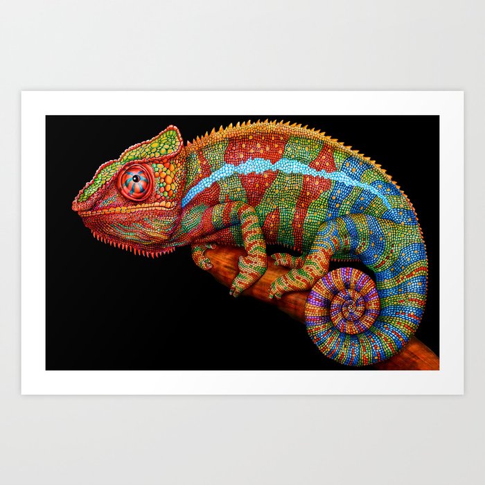 Chameleon Art Print by Tim Jeffs Art | Society6