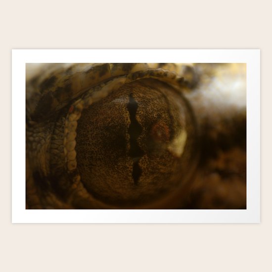 I See Art Print