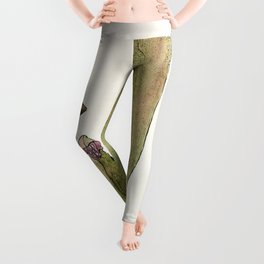 Pitcher Plant by Hannah Borger Overbeck Leggings