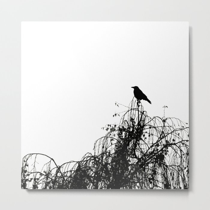 Black Bird Metal Print