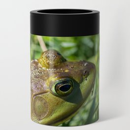 Green Frog closeup Can Cooler
