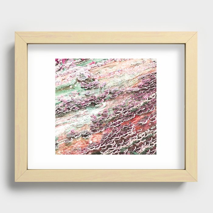 Orange Nature Beauty Recessed Framed Print