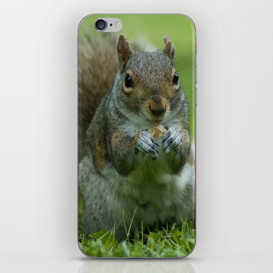 Nibble Away iPhone Skin