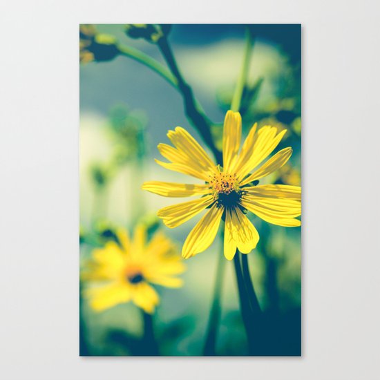 Yellow Sunshine Canvas Print