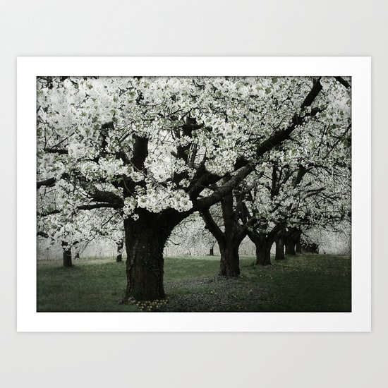 Blütenpracht Art Print