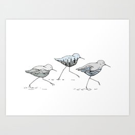 " Shorebirds " Art Print